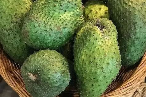 Manfaat Buah Sirsak Untuk Kesehatan Ibu Hamil Salah Satunya Dapat