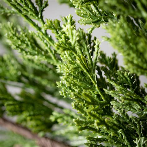 Wholesale Cedar Spray Pine Green Sprays Sullivans