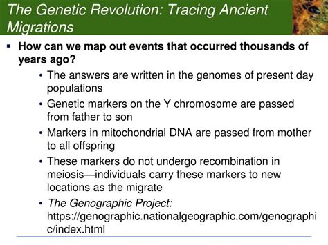 PPT Population Genetics And Human Evolution PowerPoint Presentation