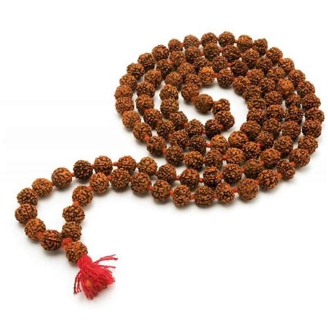 7 Mukhi Nepali Rudraksha Mala Certified Kalyanpuja