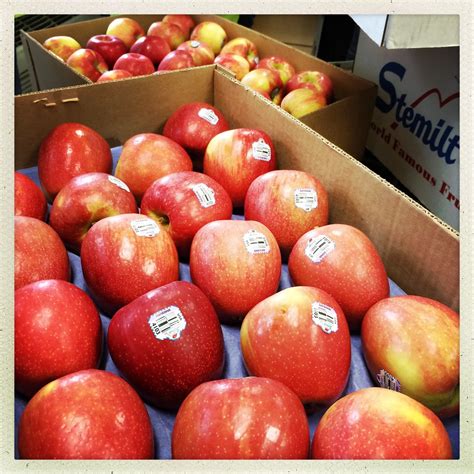 Saborusa Northwest Tour Apple Orchards Wenatchee Wa Flickr