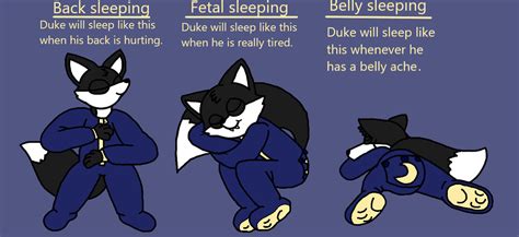 All Three Of Dukes Sleeping Positions By Dukethefox2 On Deviantart