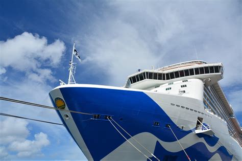 Cruise Sex Assaults Data Analysis Reveals Crime On Big Lines Trendradars