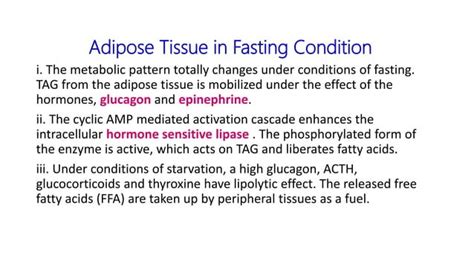 triacylglycerol metabolism | PPT