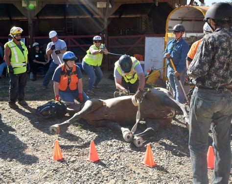 Technical Large Animal Rescue Hands-On Training Jackson - E.T.A. Evacuation Teams of Amador