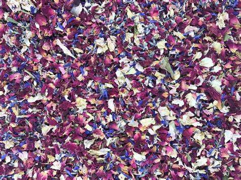 Natural Biodegradable Wedding Confetti Red Rose Mix Petals Dried