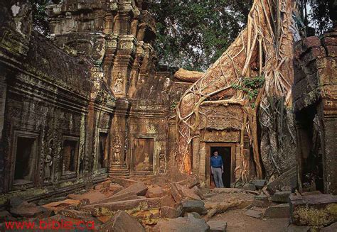 Dinosaurs in ancient Cambodian temple