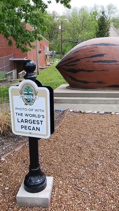 Interesting Missouri History Worlds Largest Pecan 😲🤯 Youtube