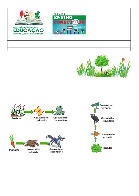 14 Atividades Sobre Cadeia Alimentar Para Imprimir Online Cursos