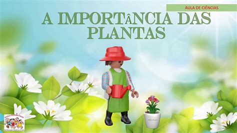 A IMPORTÂNCIA DAS PLANTAS YouTube