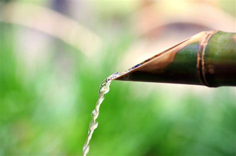 Feng Shui Bamboo Fountain - a Feng Shui and bamboo water fountains guide