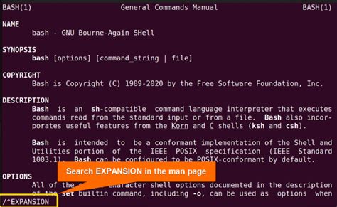 An Overview Of Shell Expansion In Bash