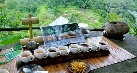 Bali Coffee Plantations Luwak Coffee Places To Visit