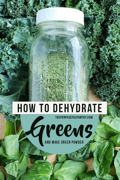 DIY Green Powder aka Super Greens - The Purposeful Pantry