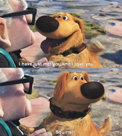 dug  disney  squirrel dug   quotes  dog