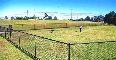 dog park  fence   stuyedu