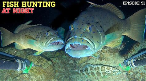 NIGHT SPEARFISHING EPISODE 91 FISH HUNTING AT NIGHT YouTube