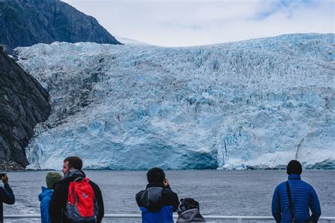 The Best Kenai Fjords Wildlife Cruise - Musings of a Rover