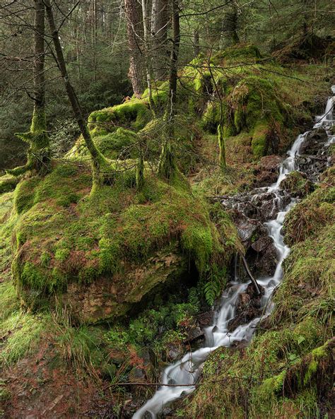 Beautiful Ethereal Style Landscape Image Of Small Brook Flwoing