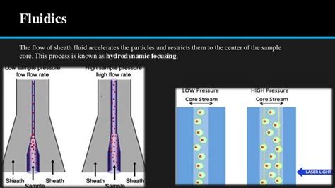 Flow Cytometry Technique