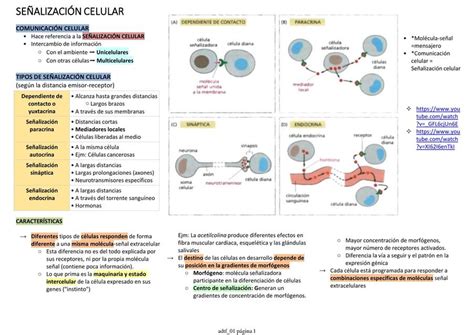 Se Alizaci N Celular Anaiz Ticona Flores Udocz