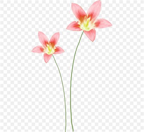 Watercolor Flower Stems Free Clipart 10 Free Cliparts Download Images