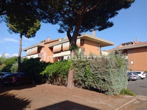 Vendita Appartamento Cerveteri Monolocale In Via Settevene Palo 112