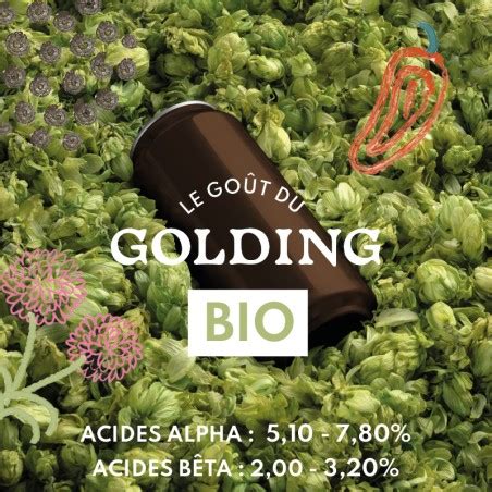 Houblon Golding BIO français en direct des producteurs HOPEN