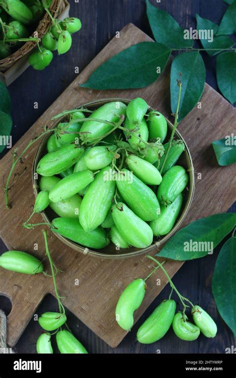 Belimbing wuluh or bilimbi fruit, one of Indonesian raw ingredients for ...