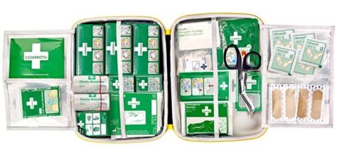 Apteczka pierwszej pomocy przenośna Cederroth First Aid Kit Large duża