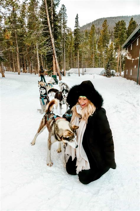 Dog Sledding in Breckenridge, Colorado - The Republic of Rose