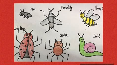 How To Draw Insects Insects Drawing Easy Drawing For Kids And