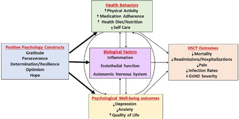 Theoretical Model Of Positive Psychological Well Being Constructs And