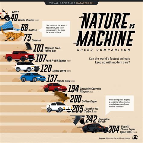 nature  machine rcoolguides