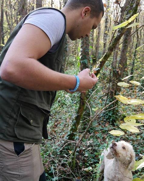 The full nomad in truffle hunting Karlić tartufi Gir d o o