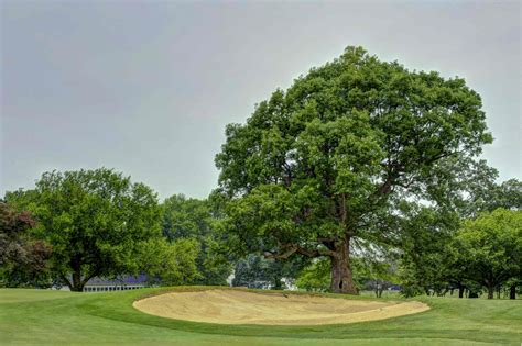 gallery golf club 6