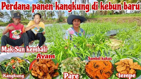 Perdana Panen Kangkung Di Kebun Baru Langsung Di Masakmasak Bermacam