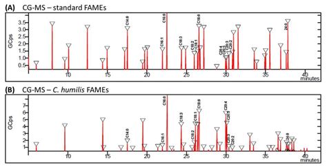 Cg Ms Spectra Fatty Acids Methyl Ester Fames Of Standard A And