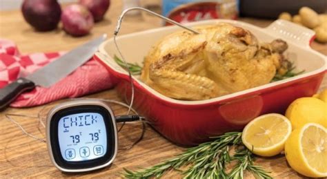 Щуп для измерения температуры пищи. Термометры для продуктов, мяса