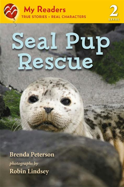 Seal Pup Rescue