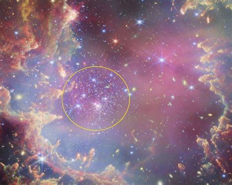 brown dwarfs   small magellanic cloud museum  science