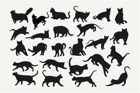 Katzen Silhouette Set Vektordesign Premium Vektor