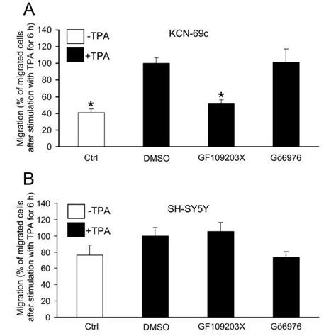 Activation Of Pkc Induces Migration Of Sk N Be C Neuroblastoma Cells