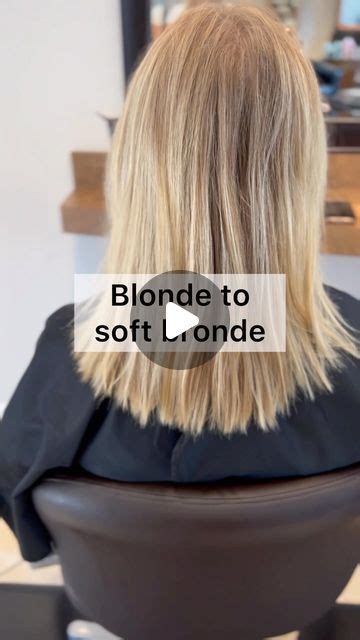 Lisa Mathews On Instagram Blonde To Soft Bronde My Client Wanted To