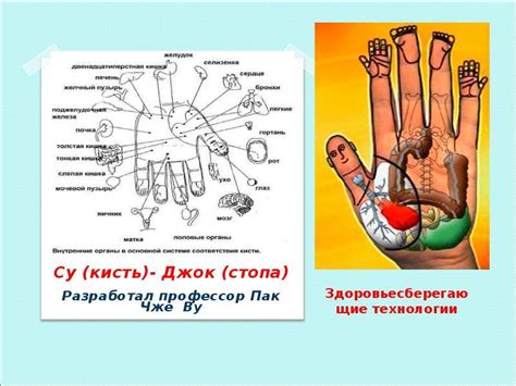 Картотека Су-джок терапии