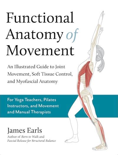 Functional Anatomy Of Movement By James Earls Penguin Books New Zealand