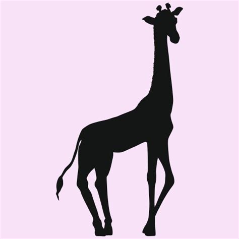 Giraffe Animal Silhouette Royalty Free Vector Image