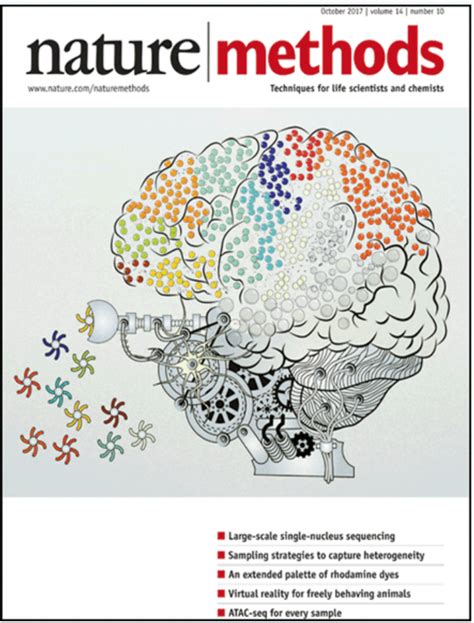 Dronc Seq Deciphering Cell Types In Human Archived Brain Tissues By