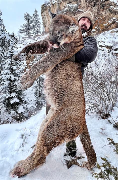 Derek Wolfe Ex Broncos Player Kills Huge Mountain Lion In Colorado