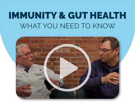 Biohm Health What You Need To Know About Immunity And Gut Health Milled